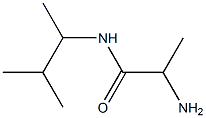 2-amino-N-(3-methylbutan-2-yl)propanamide Struktur