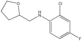 2-chloro-4-fluoro-N-(oxolan-2-ylmethyl)aniline Struktur