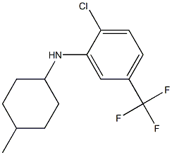 2-chloro-N-(4-methylcyclohexyl)-5-(trifluoromethyl)aniline Struktur