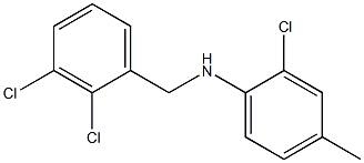 2-chloro-N-[(2,3-dichlorophenyl)methyl]-4-methylaniline Struktur