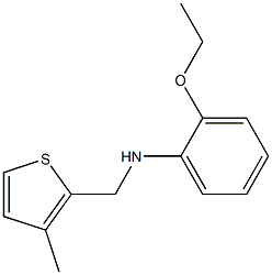 2-ethoxy-N-[(3-methylthiophen-2-yl)methyl]aniline Struktur