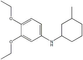 3,4-diethoxy-N-(3-methylcyclohexyl)aniline Struktur