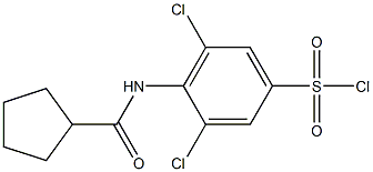 3,5-dichloro-4-cyclopentaneamidobenzene-1-sulfonyl chloride Struktur