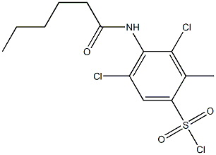 3,5-dichloro-4-hexanamido-2-methylbenzene-1-sulfonyl chloride Struktur