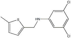 3,5-dichloro-N-[(5-methylthiophen-2-yl)methyl]aniline Struktur