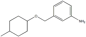 3-{[(4-methylcyclohexyl)oxy]methyl}aniline Struktur