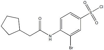 3-bromo-4-(2-cyclopentylacetamido)benzene-1-sulfonyl chloride Struktur