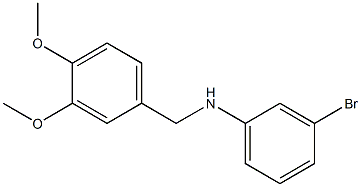 3-bromo-N-[(3,4-dimethoxyphenyl)methyl]aniline Struktur