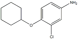 3-chloro-4-(cyclohexyloxy)aniline Struktur