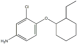 3-chloro-4-[(2-ethylcyclohexyl)oxy]aniline Struktur