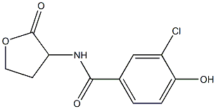 3-chloro-4-hydroxy-N-(2-oxooxolan-3-yl)benzamide Struktur