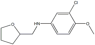 3-chloro-4-methoxy-N-(oxolan-2-ylmethyl)aniline Struktur