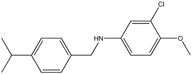 3-chloro-4-methoxy-N-{[4-(propan-2-yl)phenyl]methyl}aniline Struktur