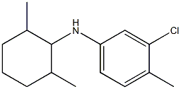 3-chloro-N-(2,6-dimethylcyclohexyl)-4-methylaniline Struktur