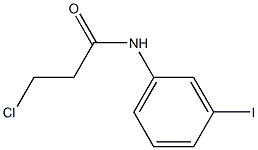 3-chloro-N-(3-iodophenyl)propanamide Struktur