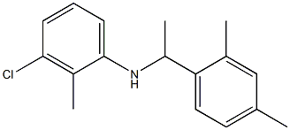 3-chloro-N-[1-(2,4-dimethylphenyl)ethyl]-2-methylaniline Struktur