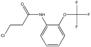 3-chloro-N-[2-(trifluoromethoxy)phenyl]propanamide Struktur