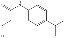 3-chloro-N-[4-(propan-2-yl)phenyl]propanamide Struktur