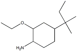 4-(1,1-dimethylpropyl)-2-ethoxycyclohexanamine Struktur