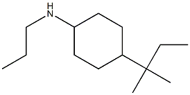 4-(2-methylbutan-2-yl)-N-propylcyclohexan-1-amine Struktur