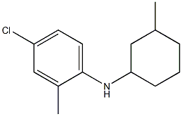 4-chloro-2-methyl-N-(3-methylcyclohexyl)aniline Struktur