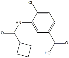 4-chloro-3-[(cyclobutylcarbonyl)amino]benzoic acid Struktur