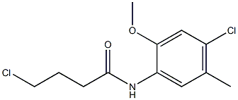 4-chloro-N-(4-chloro-2-methoxy-5-methylphenyl)butanamide Struktur