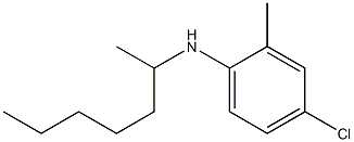 4-chloro-N-(heptan-2-yl)-2-methylaniline Struktur