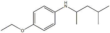 4-ethoxy-N-(4-methylpentan-2-yl)aniline Struktur