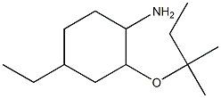 4-ethyl-2-[(2-methylbutan-2-yl)oxy]cyclohexan-1-amine Struktur