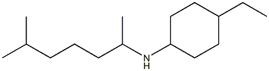 4-ethyl-N-(6-methylheptan-2-yl)cyclohexan-1-amine Struktur