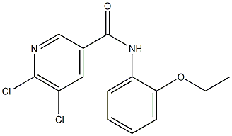 5,6-dichloro-N-(2-ethoxyphenyl)pyridine-3-carboxamide Struktur