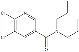 5,6-dichloro-N,N-dipropylpyridine-3-carboxamide Struktur