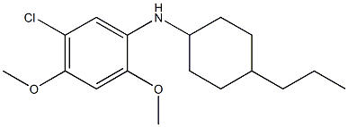 5-chloro-2,4-dimethoxy-N-(4-propylcyclohexyl)aniline Struktur