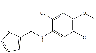 5-chloro-2,4-dimethoxy-N-[1-(thiophen-2-yl)ethyl]aniline Struktur