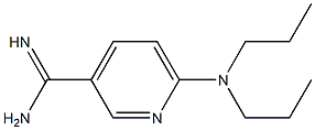 6-(dipropylamino)pyridine-3-carboximidamide Struktur