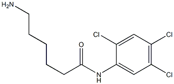 6-amino-N-(2,4,5-trichlorophenyl)hexanamide Struktur