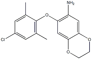 7-(4-chloro-2,6-dimethylphenoxy)-2,3-dihydro-1,4-benzodioxin-6-amine Struktur