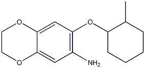 7-[(2-methylcyclohexyl)oxy]-2,3-dihydro-1,4-benzodioxin-6-amine Struktur