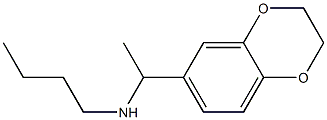 butyl[1-(2,3-dihydro-1,4-benzodioxin-6-yl)ethyl]amine Struktur