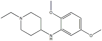 N-(2,5-dimethoxyphenyl)-1-ethylpiperidin-4-amine Struktur