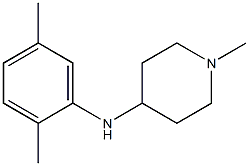 N-(2,5-dimethylphenyl)-1-methylpiperidin-4-amine Struktur