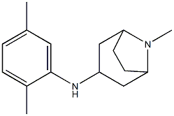 N-(2,5-dimethylphenyl)-8-methyl-8-azabicyclo[3.2.1]octan-3-amine Struktur