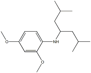 N-(2,6-dimethylheptan-4-yl)-2,4-dimethoxyaniline Struktur