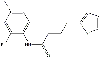 N-(2-bromo-4-methylphenyl)-4-thien-2-ylbutanamide Struktur