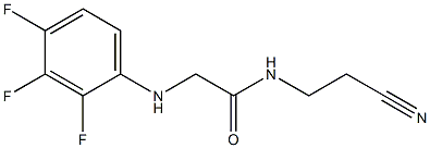 N-(2-cyanoethyl)-2-[(2,3,4-trifluorophenyl)amino]acetamide Struktur