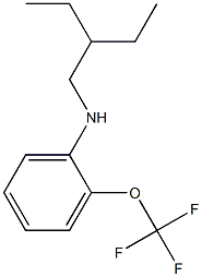 N-(2-ethylbutyl)-2-(trifluoromethoxy)aniline Struktur