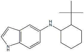 N-(2-tert-butylcyclohexyl)-1H-indol-5-amine Struktur