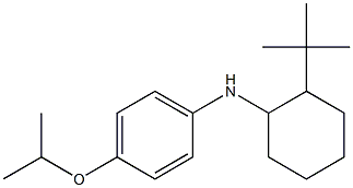 N-(2-tert-butylcyclohexyl)-4-(propan-2-yloxy)aniline Struktur