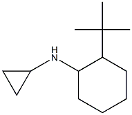 N-(2-tert-butylcyclohexyl)-N-cyclopropylamine Struktur